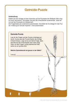 tl_files/upload/Care-Line Shop/Kostenloses/Grundschule/Bildvorschau/Getreide-Puzzle.jpg