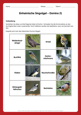 tl_files/upload/Care-Line Shop/Kostenloses/Sekundarstufe/Bildvorschau/Einheimische Singvoegel.jpg