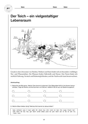 tl_files/upload/Care-Line Shop/Kostenloses/Sekundarstufe/Bildvorschau/Lebensraum Teich.jpg